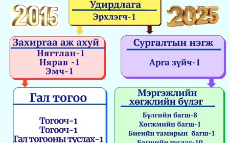 Дархан сумын 8-р цэцэрлэгийн бүтэц зохион байгуулалт